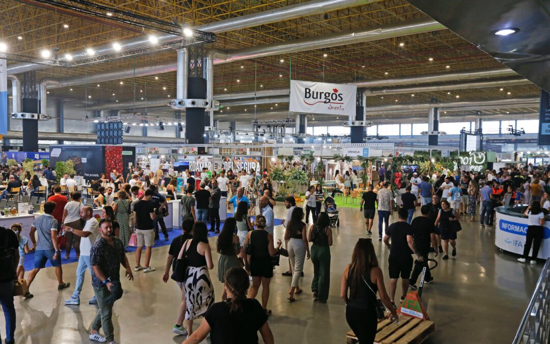 Prepara tu visita y tu experiencia en Alicante Gastronómica