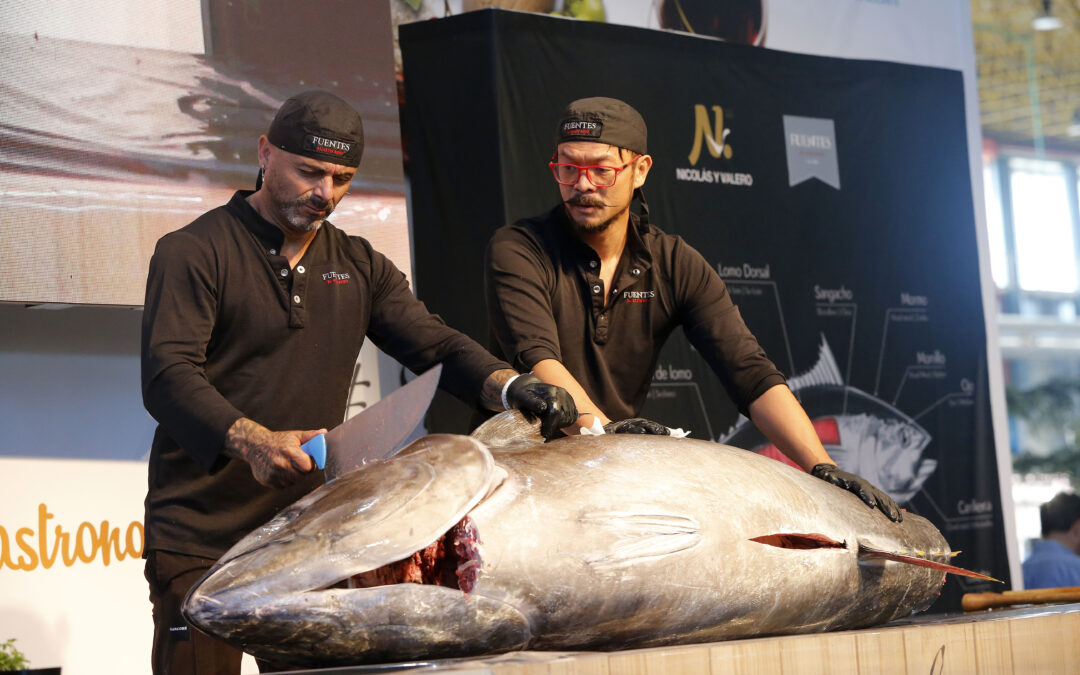 Una mirada al mar, sus productos y su mejor cocina en Alicante Gastronómica