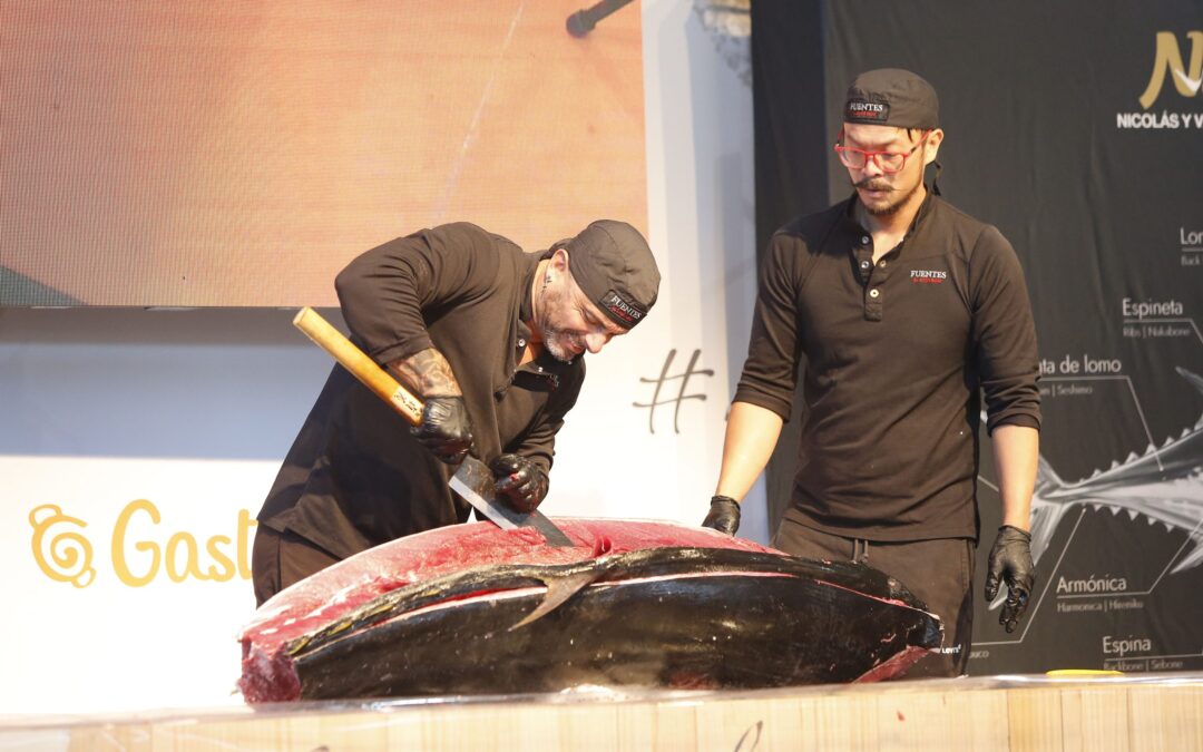 El ronqueo de un espectacular atún rojo de 200 kilos abre un concurso de Tartar de Atún que vence el Restaurante Terre de Alicante